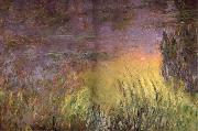 Claude Monet Water Lilies at Sunset Germany oil painting artist